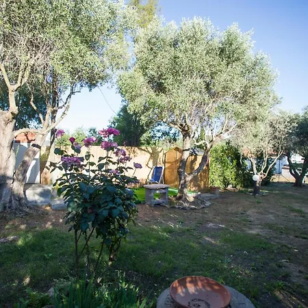 Tiziana In Appartamento *
